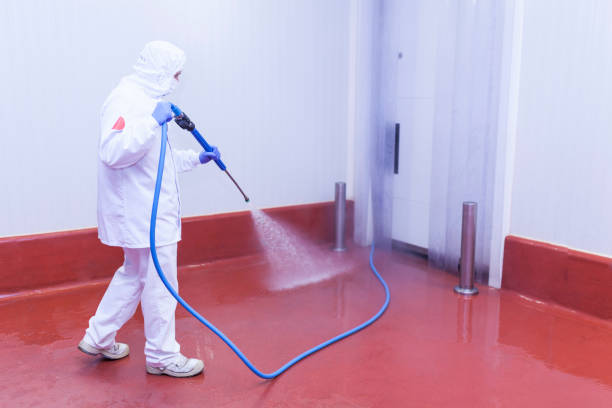 Best Driveway Pressure Washing  in Crystal City, TX