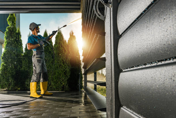 Animal Enclosure Cleaning in Crystal City, TX
