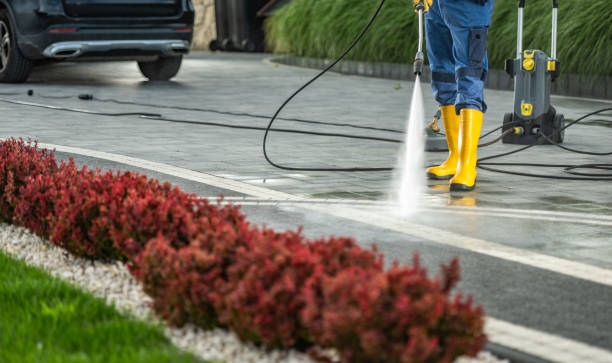 Best Dumpster Area Cleaning  in Crystal City, TX